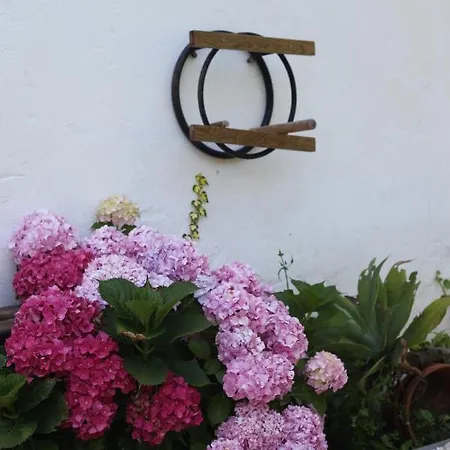 アパート Ribeira Dos Marinheiros Azul シントラ