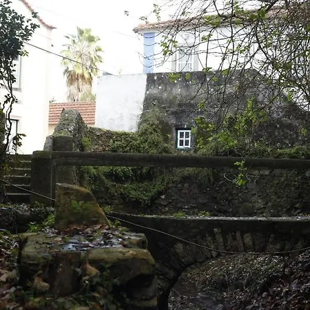 Ribeira Dos Marinheiros Azul アパート *