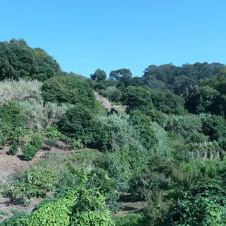 Ribeira Dos Marinheiros Azul 신트라
