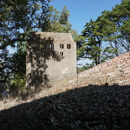 アパート Ribeira Dos Marinheiros Azul